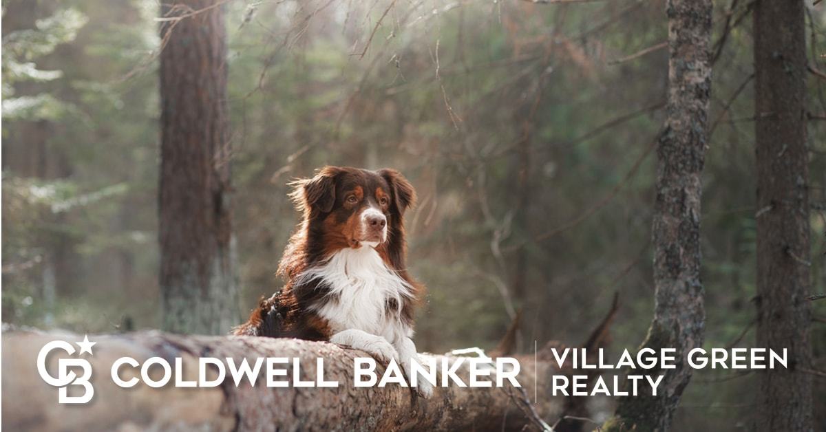 Chichester Real Estate & Property Chichester Homes For Sale